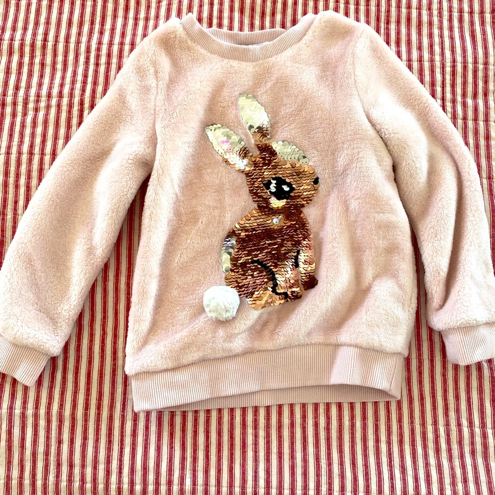 Two girls sweatshirts (3T-4T)